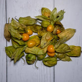 Rashberi -  100 % Natural & Farm Fresh  Farm Fresh Fruits